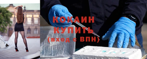 ешки Аркадак