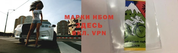 прущий лед Алзамай