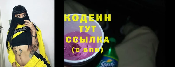прущий лед Алзамай
