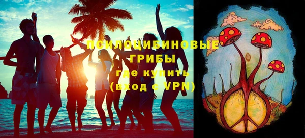прущий лед Алзамай