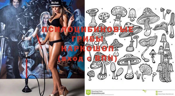 прущий лед Алзамай