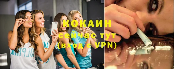 прущий лед Алзамай
