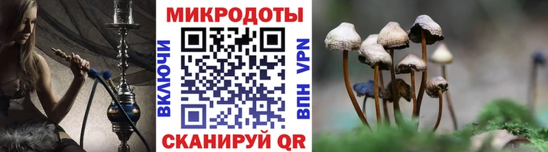 купить цена Любим Галлюциногенные грибы мухоморы